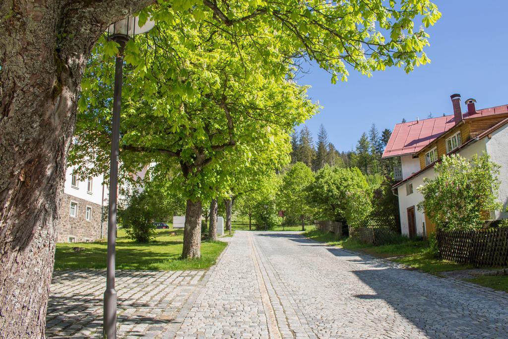Ferienwohnung Treml Bayerisch Eisenstein Eksteriør billede